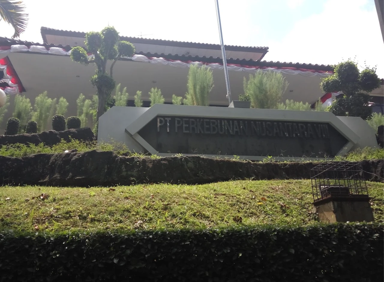 Gaji PT Perkebunan Nusantara III Terbaru