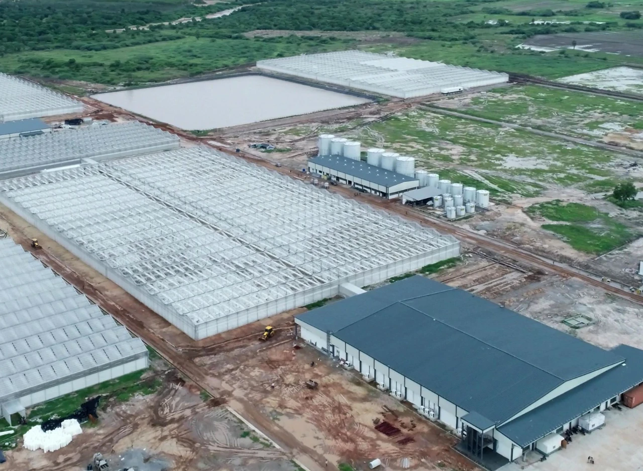 Daftar Gaji PT Indonusa Agromulia Terbaru Saat Ini