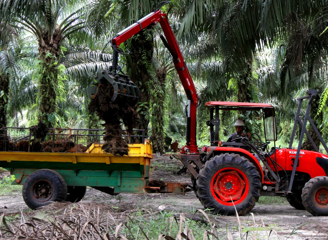 Daftar Gaji PT Best Agro International Terbaru 2025