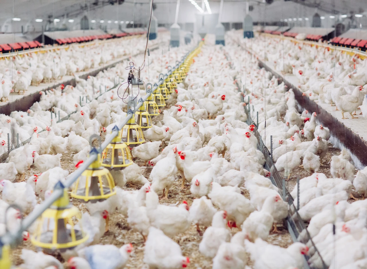 Gaji PT Medion Ardhika Bhakti Terbaru Semua Posisi