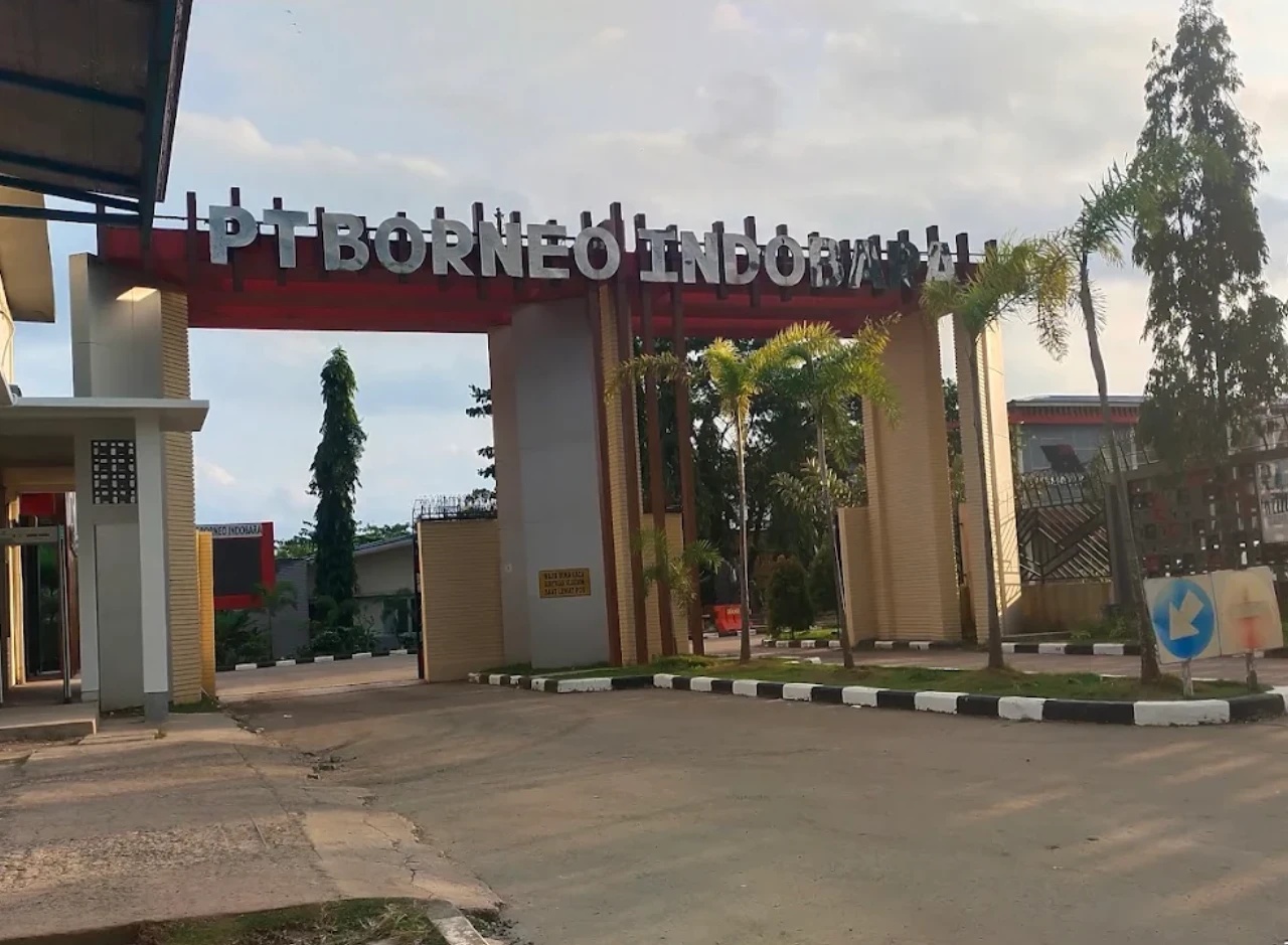 Gaji PT Borneo Indobara Beserta Tunjangannya
